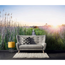 Fototapete mit einem Wanderweg im Abendsonnenlicht, einem Holzpfad zwischen hohem Gras und einem warmen Sonnenuntergang