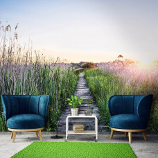 Fototapete mit einem Wanderweg im Abendsonnenlicht, einem Holzpfad zwischen hohem Gras und einem warmen Sonnenuntergang.