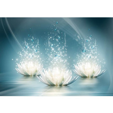 Seerosen, kunstvoll dargestellt auf einer abstrakten Fototapete mit Natur und Blumen.