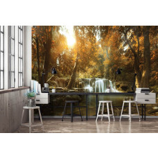 Eine Fototapete mit einem Wasserfall in einem Herbstwald mit Bäumen und einem Baum im Wohnzimmer und Büro.