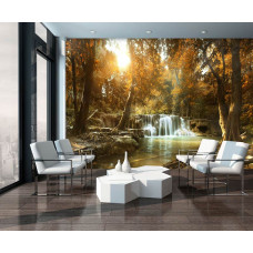 Eine Fototapete mit einem Wasserfall in einem Herbstwald mit Bäumen und einem Baum im Wohnzimmer.