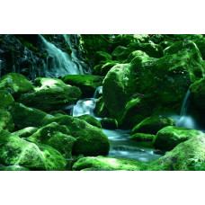 Fototapete von Wasserfällen, die zwischen Felsen kaskadieren, umgeben von einem üppigen grünen Wald.