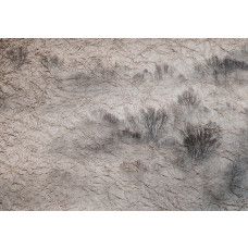 Fotobehang met een serene weide in mist en donkere bomen in beige tinten