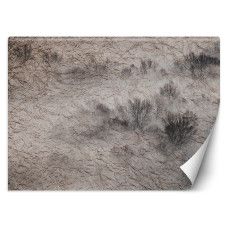 Fotobehang met een serene weide in mist en donkere bomen in beige tinten