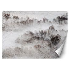Fotobehang met een serene weide en mistige bomen in beige tinten