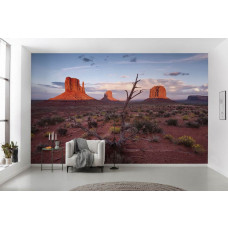 Eine Fototapete von Monument Valley in Arizona, die die ikonische Landschaft des Westens zeigt.