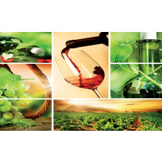 Fototapete mit roten Trauben und Weinflaschen in einem französischen Weinberg, stimmungsvolle Darstellung.