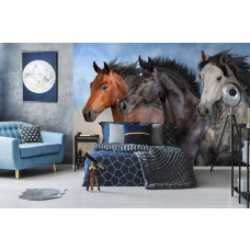 eine Fototapete mit wilden Pferden in einem Kinderzimmer.