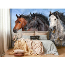 eine Fototapete mit wilden Pferden in einem Schlafzimmer.