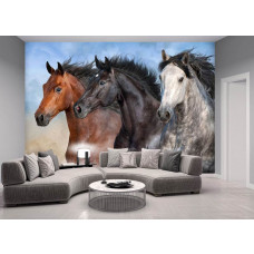 eine Fototapete mit wilden Pferden in einem Wohnzimmer.