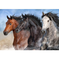 eine Fototapete mit wilden Pferden, die durch eine weite natürliche Umgebung galoppieren.