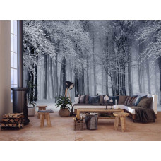 Eine Fototapete eines Winterwaldes mit Schnee und Bäumen im Wohnzimmer.