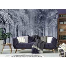 Eine Fototapete eines Winterwaldes mit Schnee und Bäumen im Wohnzimmer.