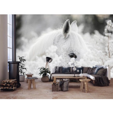 Fototapete eines weißen Pferdes im Schnee mit Blumen für das Wohnzimmer.