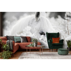 Fototapete eines weißen Pferdes im Schnee mit Blumen für das Wohnzimmer.