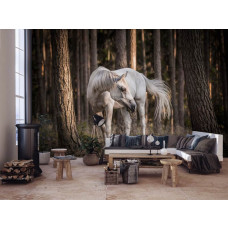 Eine Fototapete mit einem weißen Pferd im Wald, umgeben von Bäumen für das Wohnzimmer.