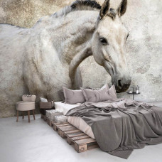 Eine Fototapete mit einem weißen Pferd für das Schlafzimmer.