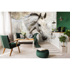 Eine Fototapete mit einem weißen Pferd für das Wohnzimmer.