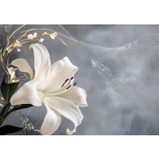 Fotobehang met een elegante witte lelie en gouden accenten op een zachte grijze achtergrond.