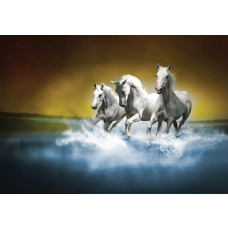 Fototapete mit weißen Pferden, die im Wasser galoppieren, mit einer dynamischen und kraftvollen Ausstrahlung.