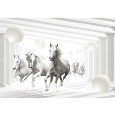 Weiße Pferde, galoppierend dargestellt auf einer künstlerischen und abstrakten Fototapete.