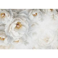 Fototapete mit üppigen weißen Pfingstrosen in voller Blüte, sanften Details und einer subtilen Farbpalette, die eine elegante und ruhige Atmosphäre schafft.