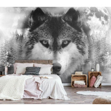 Eine Fototapete mit einem Wolf in Schwarz-Weiß in einem Wald, geeignet für das Schlafzimmer.