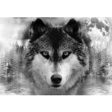 Schwarz-Weiß-Fototapete mit einem Wolf in einem natürlichen Wald, ideal für einen beruhigenden Raum.