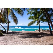 Fotobehang met zandstrand tussen palmbomen in blauwe tinten