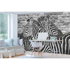 Fototapete mit dem Bild eines Zebras auf einer Steinwand, geeignet für einen einzigartigen Look.