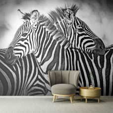 Eine Fototapete mit einer Nahaufnahme von Zebras in Schwarz und Weiß in einer afrikanischen Umgebung.