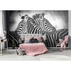 Eine Fototapete mit Zebras in Schwarz und Weiß, geeignet für das Schlafzimmer.