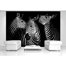 Fototapete mit Zebras in einem Tiermuster im Wohnzimmer.