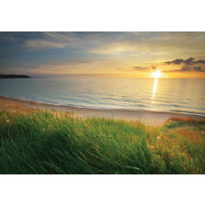 Fototapete mit einem Meer bei Sonnenuntergang, mit einer ruhigen Strandszenerie.