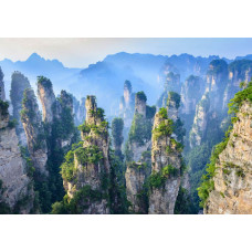 Fototapete des Zhangjiajie National Forest Park in China, mit beeindruckenden Bergen und Bergen inmitten üppiger Natur.