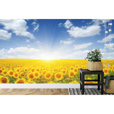 Eine Fototapete mit einem hellen Feld von Sonnenblumen in natürlichem Licht, abgebildet in einem Schlafzimmer.