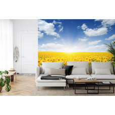 Eine Fototapete mit einer Landschaft von Sonnenblumen in warmen Tönen, abgebildet in einem Wohnzimmer.