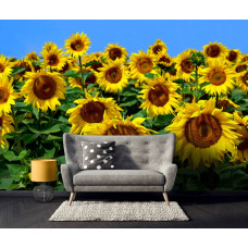 Eine Sonnenblumen-Fototapete für das Schlafzimmer.