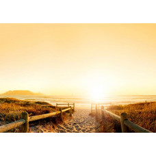 Fototapete eines sonnenüberfluteten Weges, der zu einem Strand führt, umgeben von Dünen und natürlicher Vegetation.