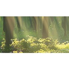 Ein vergrößertes Foto des abstrakten Waldes auf Fototapete.