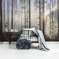 Eine Fototapete mit Sonnenstrahlen, die durch die Bäume im Wald scheinen, zu sehen im Kinderzimmer.