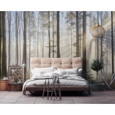 Eine Fototapete mit Sonnenstrahlen, die durch die Bäume im Wald scheinen, zu sehen im Wohnzimmer und Schlafzimmer.