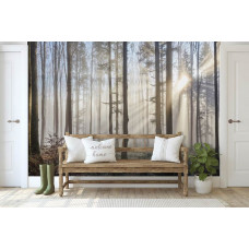 Eine Fototapete mit Sonnenstrahlen, die durch die Bäume im Wald scheinen, zu sehen im Wohnzimmer.