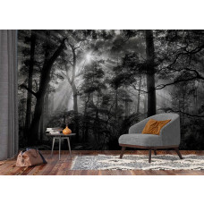 Eine Fototapete mit Sonnenstrahlen in einem dunklen Wald in einem Geschäftszimmer.