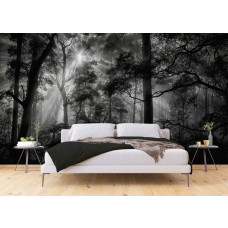 Eine Fototapete von Sonnenstrahlen in einem dunklen Wald in einem Schlafzimmer.