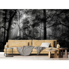 Eine Fototapete mit Sonnenstrahlen in einem dunklen Wald in einem Wohnzimmer mit Vliestapete.