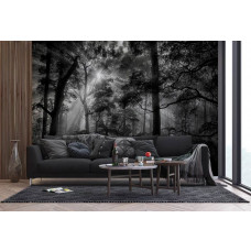 Eine Fototapete von Sonnenstrahlen in einem dunklen Wald in einem Wohnzimmer.