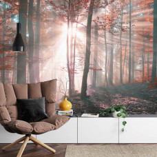 Eine Fototapete mit strahlenden Sonnenstrahlen, die durch einen Herbstwald scheinen, mit warmen Herbstfarben, perfekt für ein Wohnzimmer.