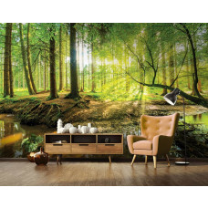 Eine Fototapete mit Bäumen und Sonnenstrahlen in einem sonnigen Wald, perfekt für das Wohnzimmer.