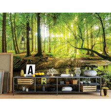 Eine Fototapete mit einem sonnigen Wald und Sonnenstrahlen, die durch die Bäume scheinen, geeignet für ein Büro.